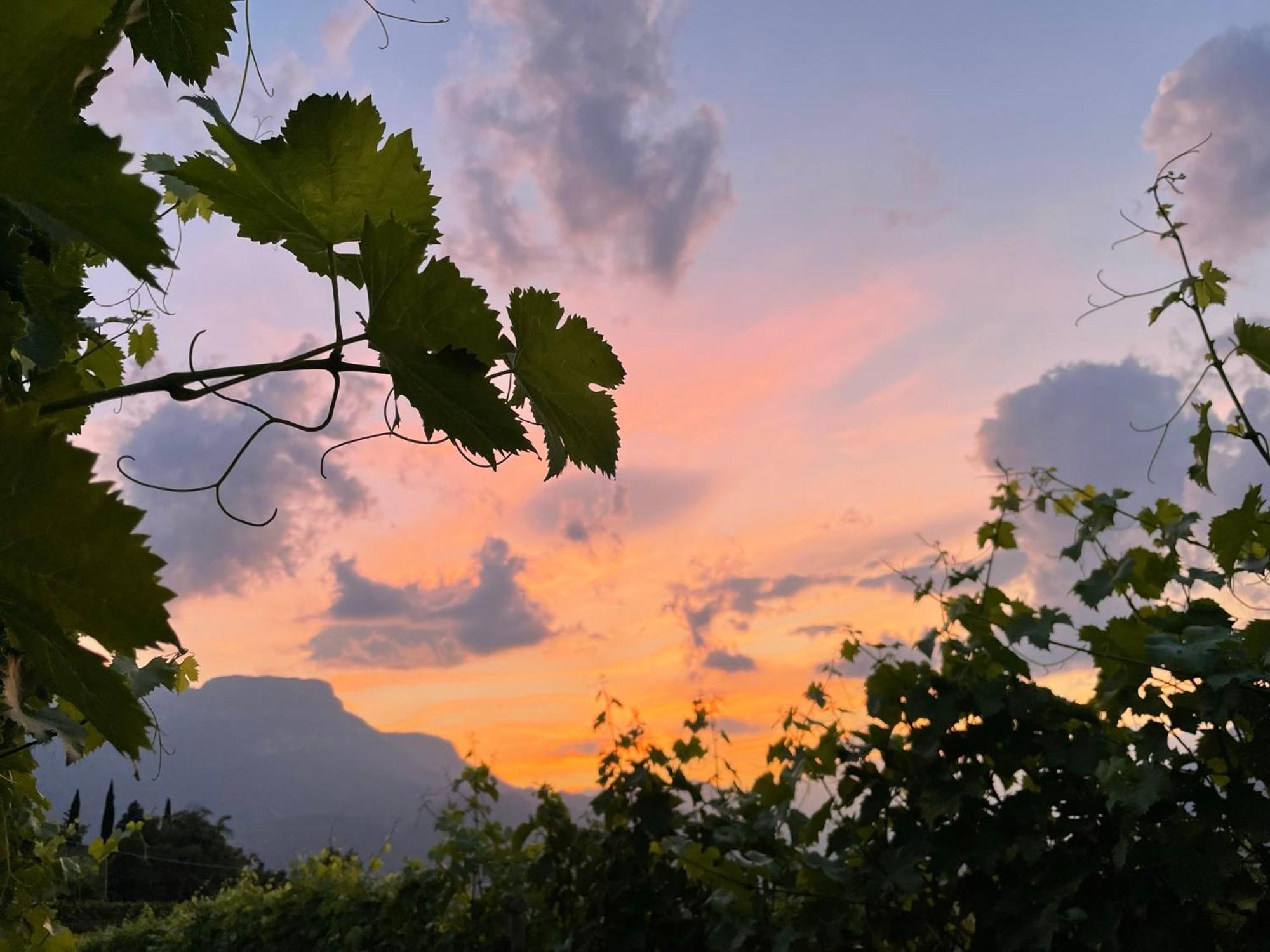Pension Etschblick B&B Frangarto エクステリア 写真
