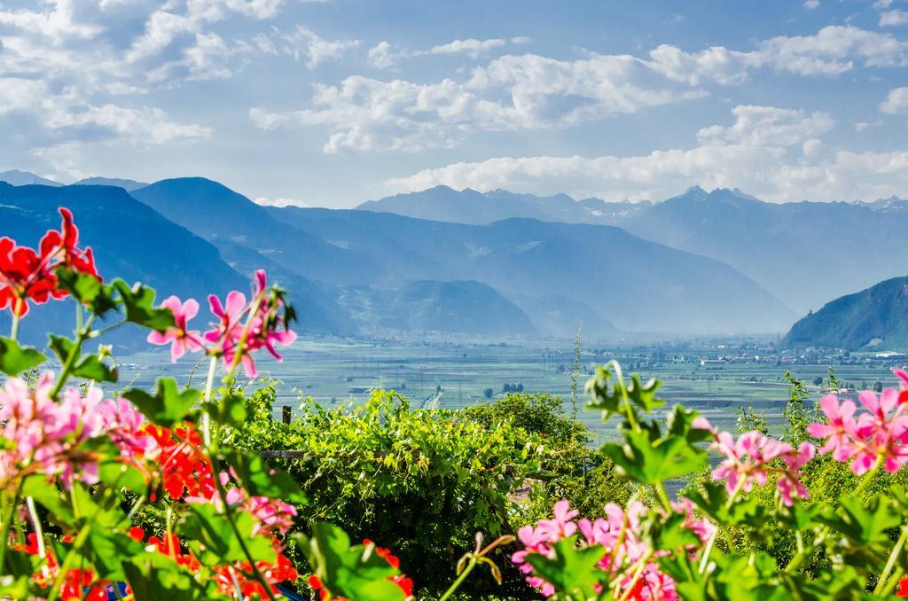 Pension Etschblick B&B Frangarto エクステリア 写真